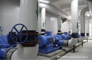 紫薇社区供暖首日 暖意阵阵，关怀满满