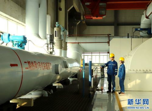 河南南阳 供暖季来临巡检忙 保障群众温暖过冬